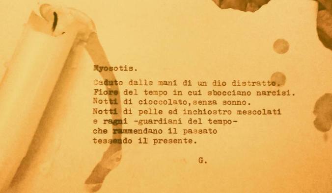 12801178_670314716444479_4552371582279383018_n